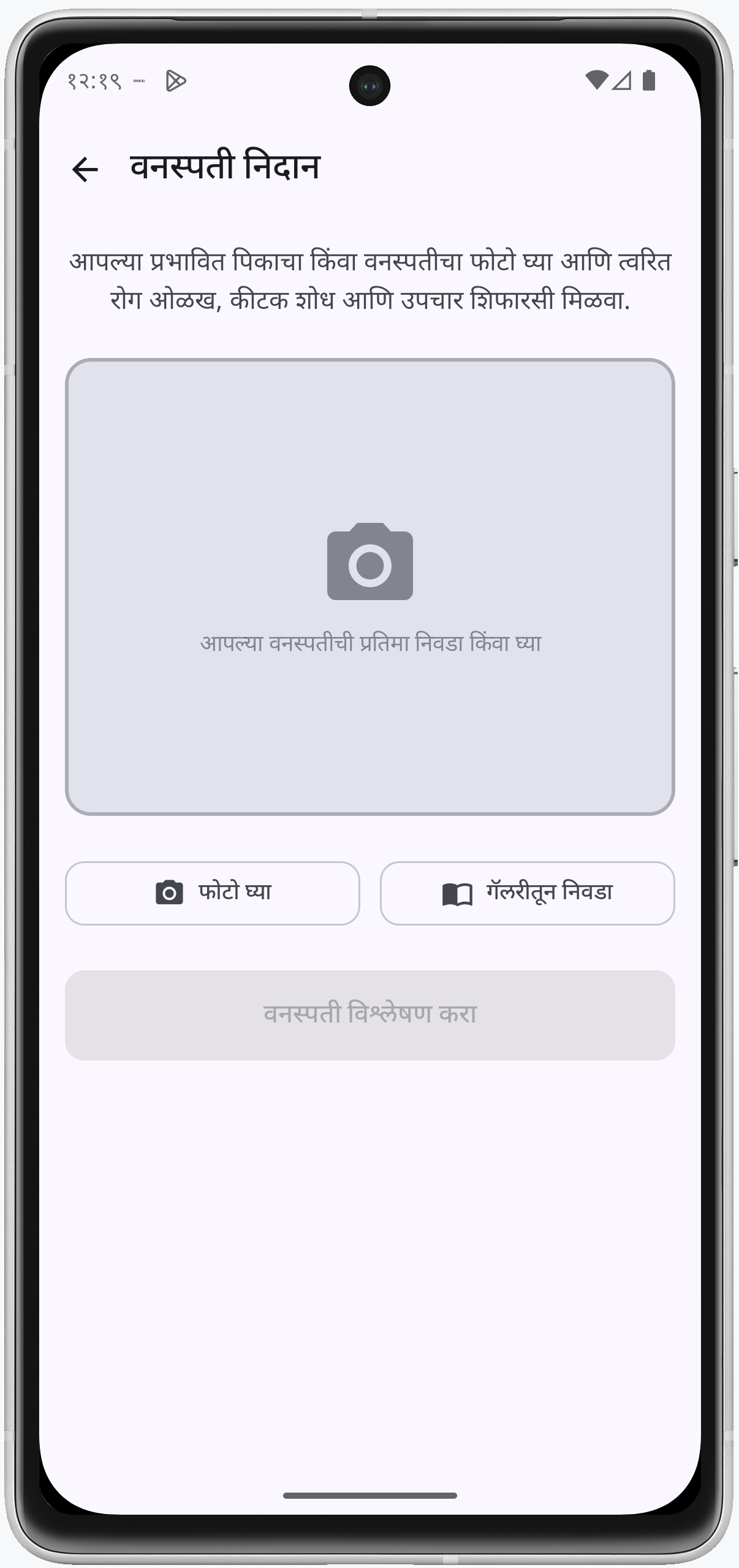 Krishi AI crop photo insight screen for choosing a camera or gallery image